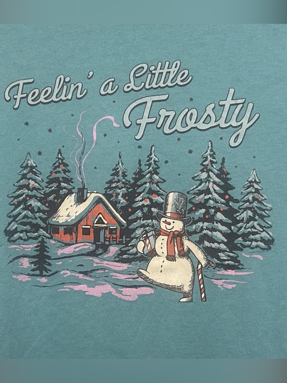 Feelin' a Little Frosty Holiday Graphic Tee - Teal Tags Missing matches men’s sm